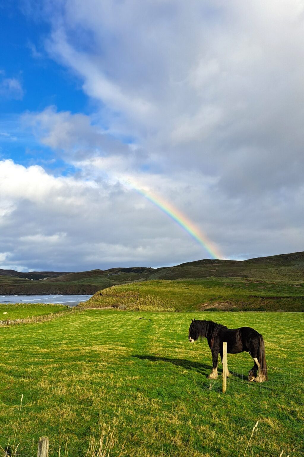 Live, Laugh, Learn – Experience of Studying Abroad